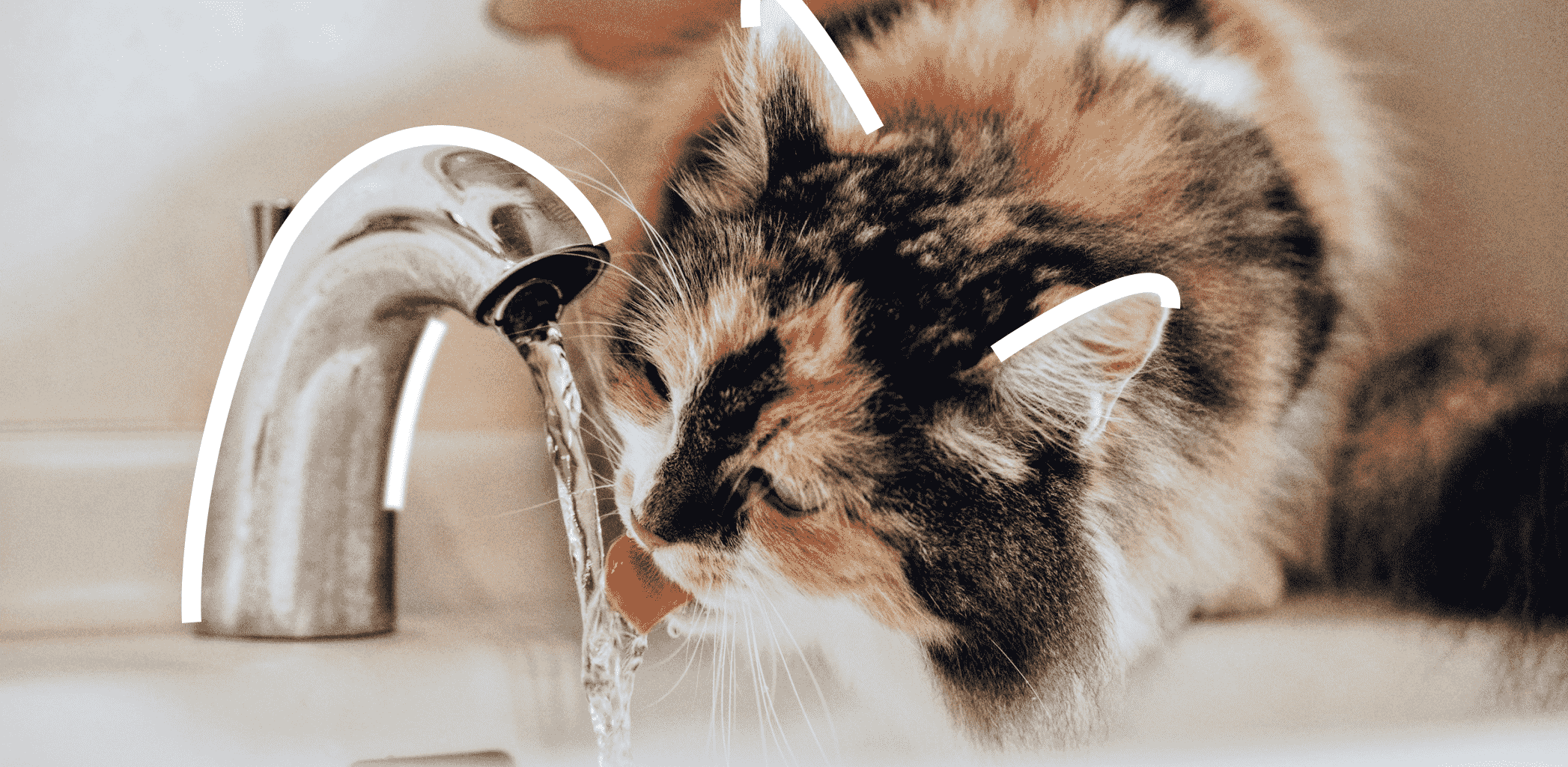 Иллюстрация к статье - Что делать, если вы ошиблись при снятии показаний приборов учёта воды и тепла Что делать, если вы ошиблись при снятии показаний приборов учёта воды и тепла